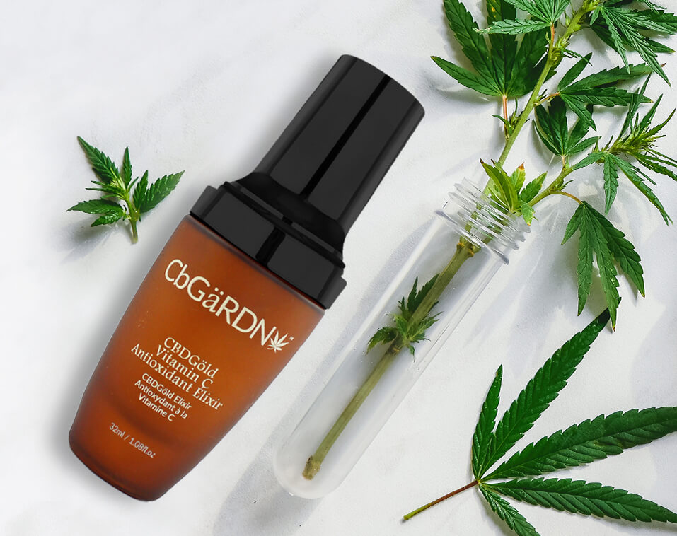 Serum showing why CBD products are good for your skin