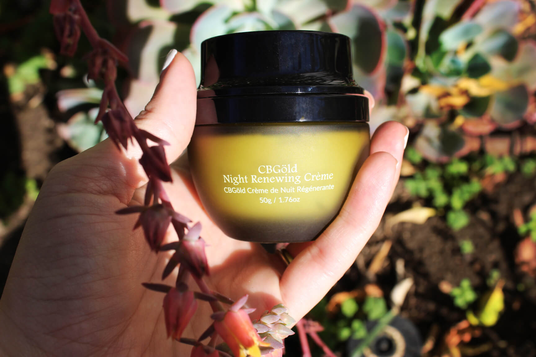 CBGöld Night Renewing Crème